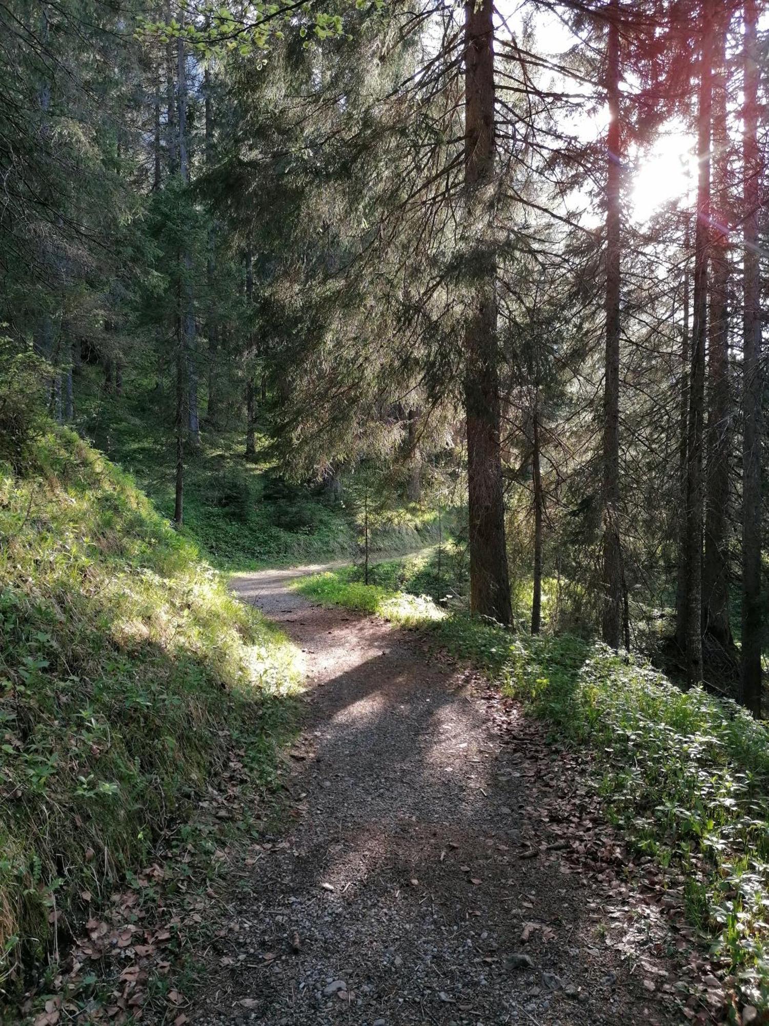 Abendrot-Tirol Leilighet Berwang Eksteriør bilde